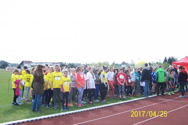 biegi 25